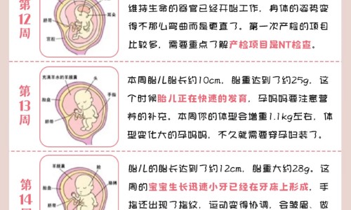 【健儿乐颗粒是什么药】健儿乐颗粒什么牌子的好一点 - 健儿乐颗粒什么牌子的好网